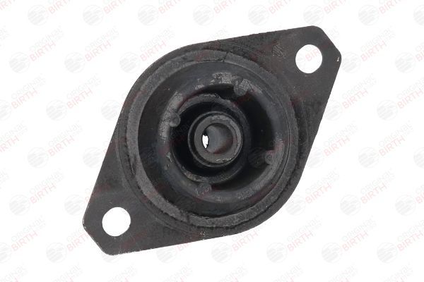 Variklio montavimas BIRTH 5824