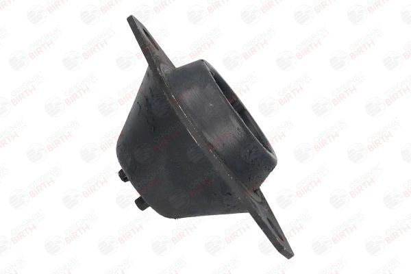 Variklio montavimas BIRTH 5824