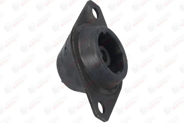 Variklio montavimas BIRTH 5824