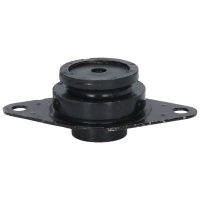 Variklio montavimas BIRTH 5825