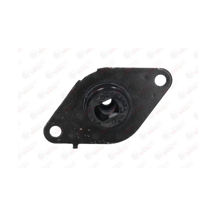 Variklio montavimas BIRTH 5825