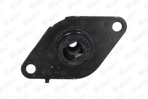 Variklio montavimas BIRTH 5825