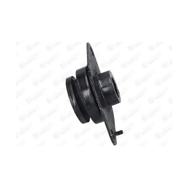 Variklio montavimas BIRTH 5825