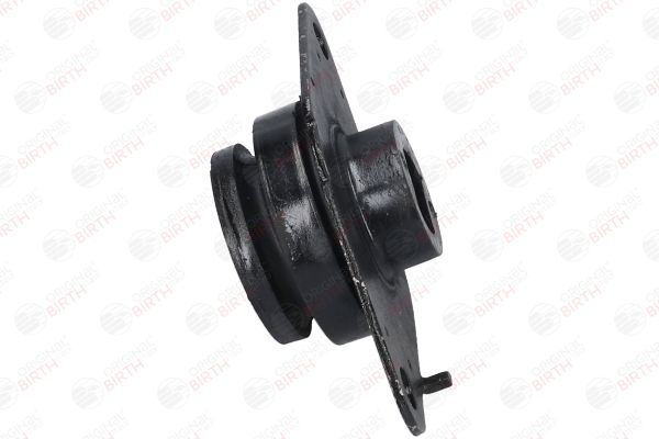 Variklio montavimas BIRTH 5825