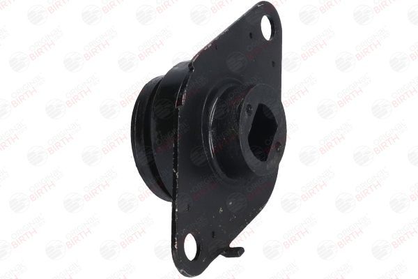 Variklio montavimas BIRTH 5825