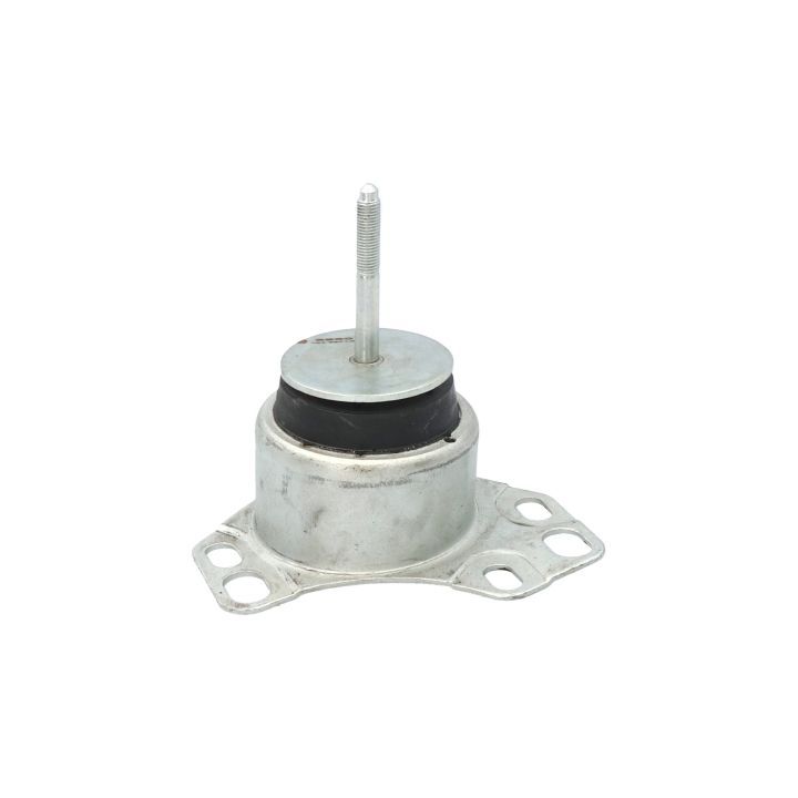 Variklio montavimas BIRTH 5860