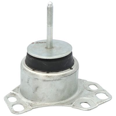 Variklio montavimas BIRTH 5860