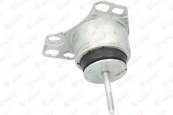 Variklio montavimas BIRTH 5860