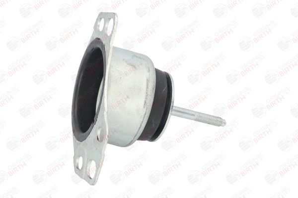 Variklio montavimas BIRTH 5860