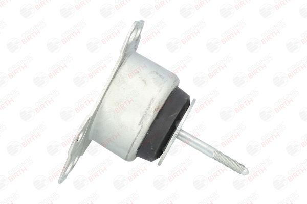 Variklio montavimas BIRTH 5860