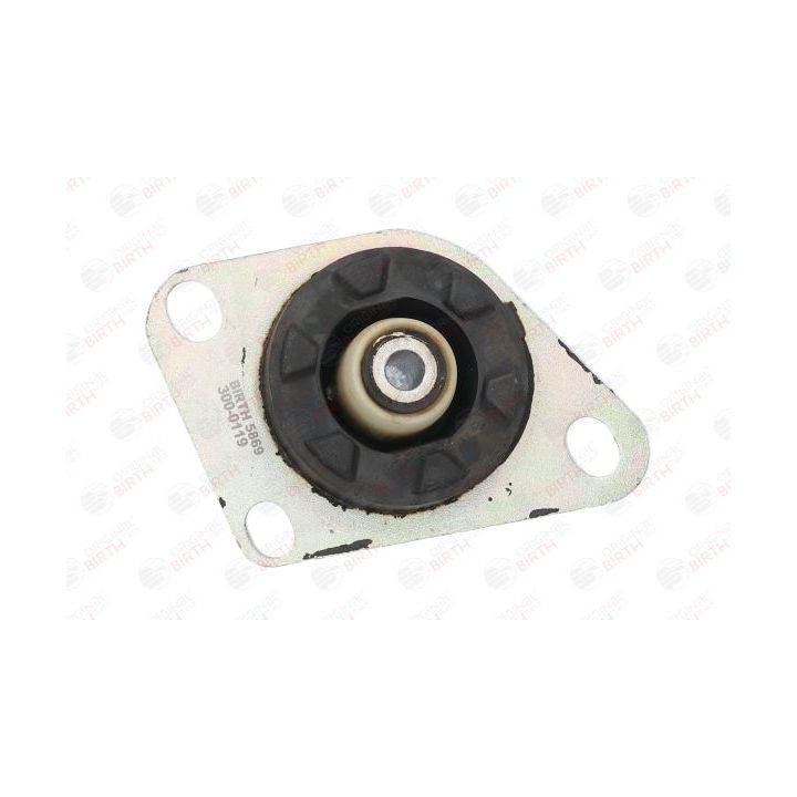 Variklio montavimas BIRTH 5869