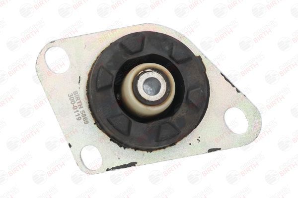 Variklio montavimas BIRTH 5869