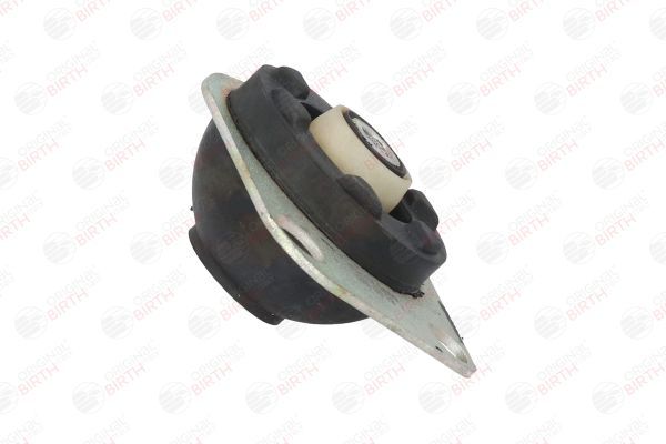 Variklio montavimas BIRTH 5869