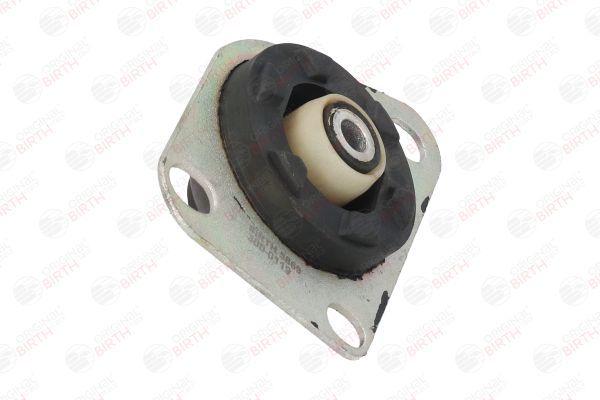 Variklio montavimas BIRTH 5869