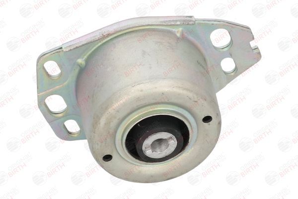 Variklio montavimas BIRTH 5880