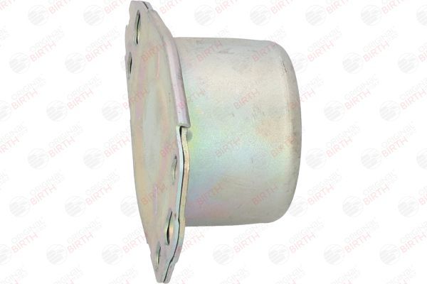 Variklio montavimas BIRTH 5880