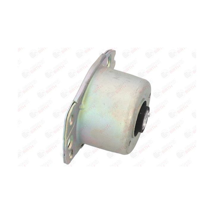 Variklio montavimas BIRTH 5880