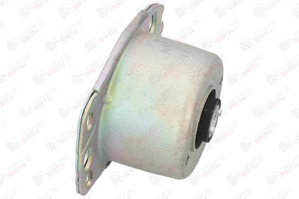 Variklio montavimas BIRTH 5880