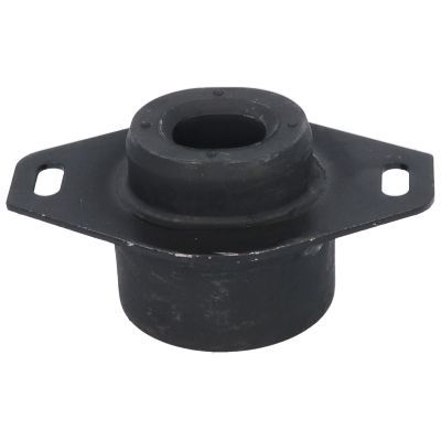 Variklio montavimas BIRTH 5924