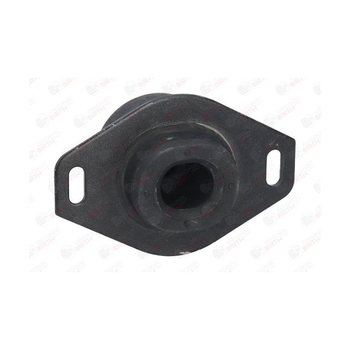 Variklio montavimas BIRTH 5924