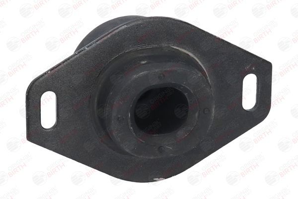 Variklio montavimas BIRTH 5924