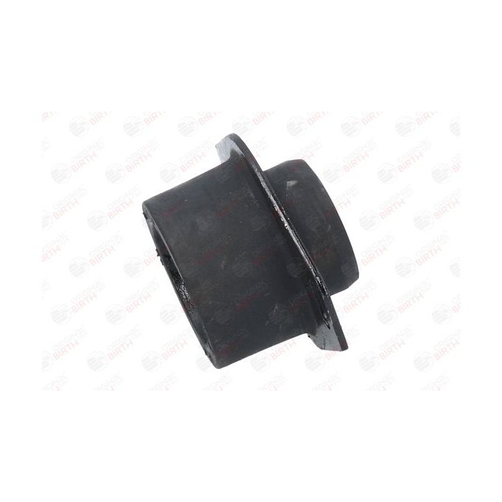 Variklio montavimas BIRTH 5924