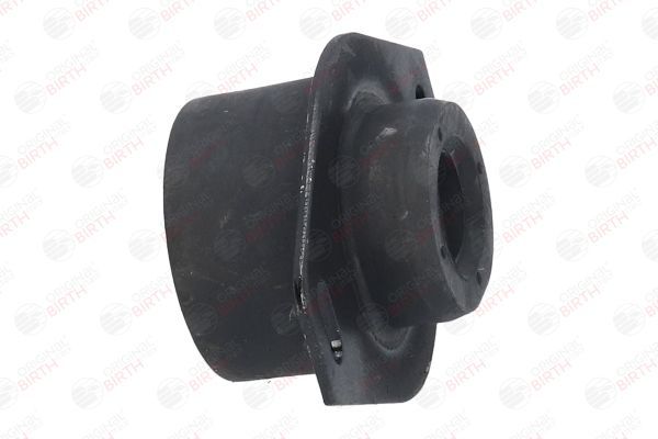 Variklio montavimas BIRTH 5924