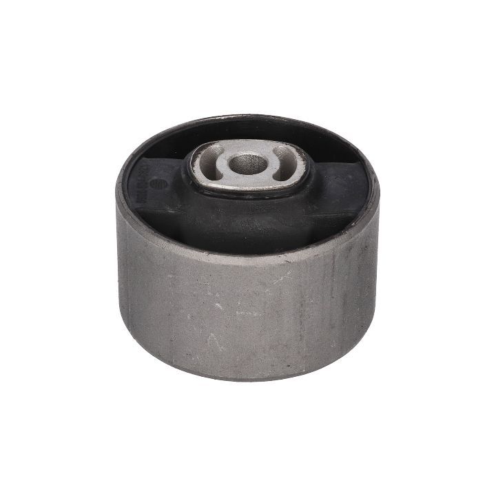 Variklio montavimas BIRTH 5925