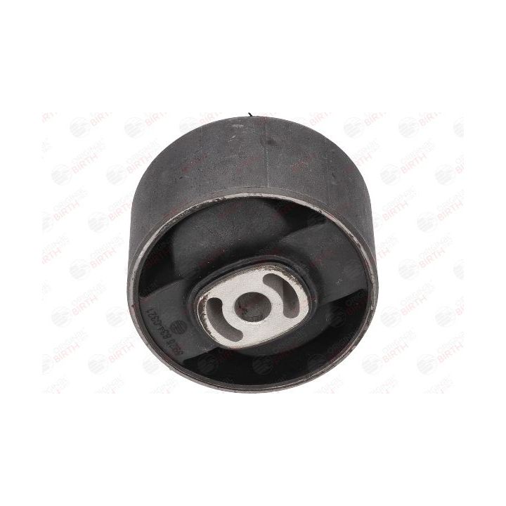 Variklio montavimas BIRTH 5925