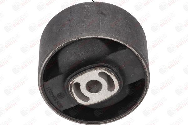 Variklio montavimas BIRTH 5925