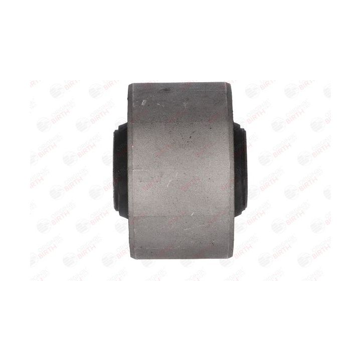 Variklio montavimas BIRTH 5925