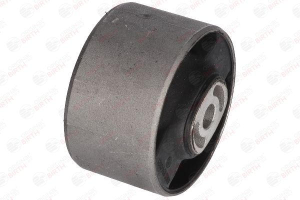 Variklio montavimas BIRTH 5925