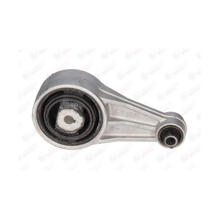 Variklio montavimas BIRTH 5945