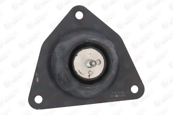 Variklio montavimas BIRTH 5946