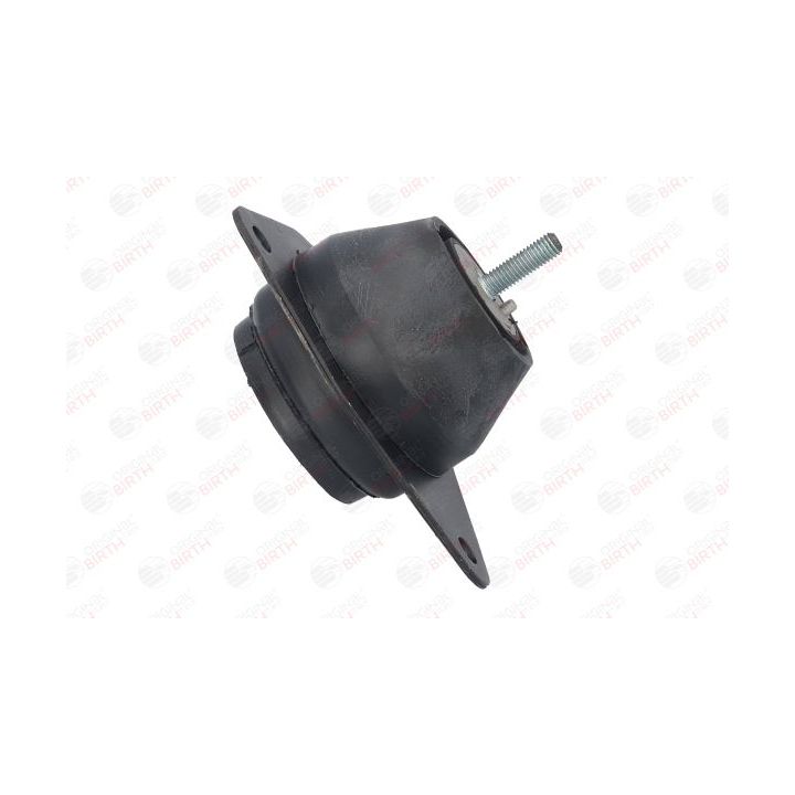 Variklio montavimas BIRTH 5946