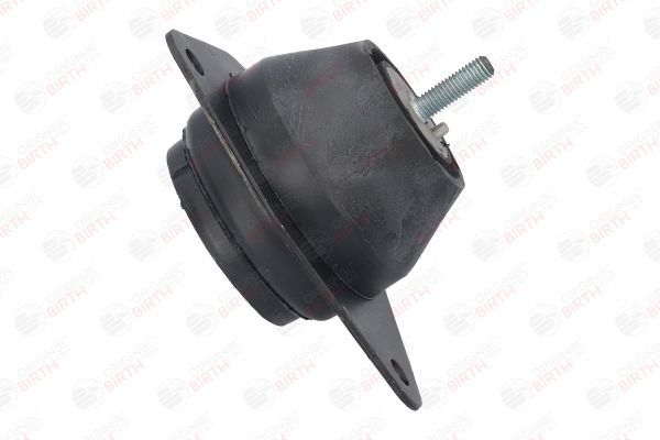 Variklio montavimas BIRTH 5946