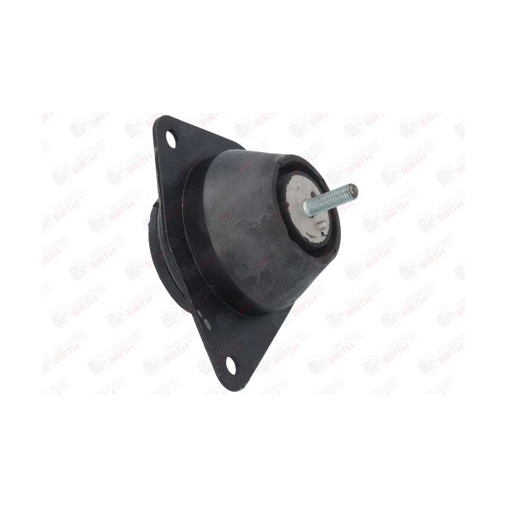 Variklio montavimas BIRTH 5946