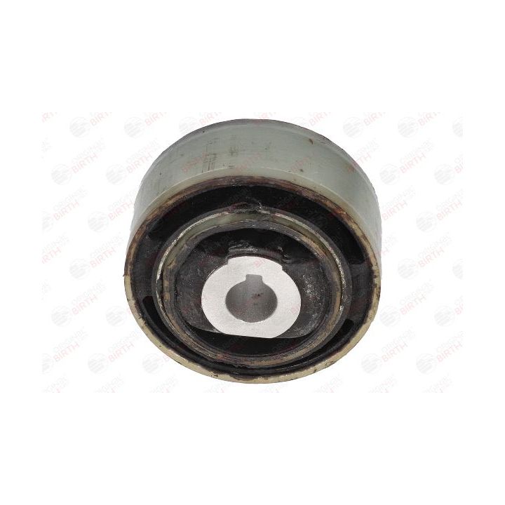 Variklio montavimas BIRTH 5947