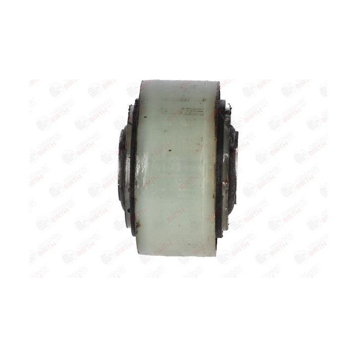 Variklio montavimas BIRTH 5947