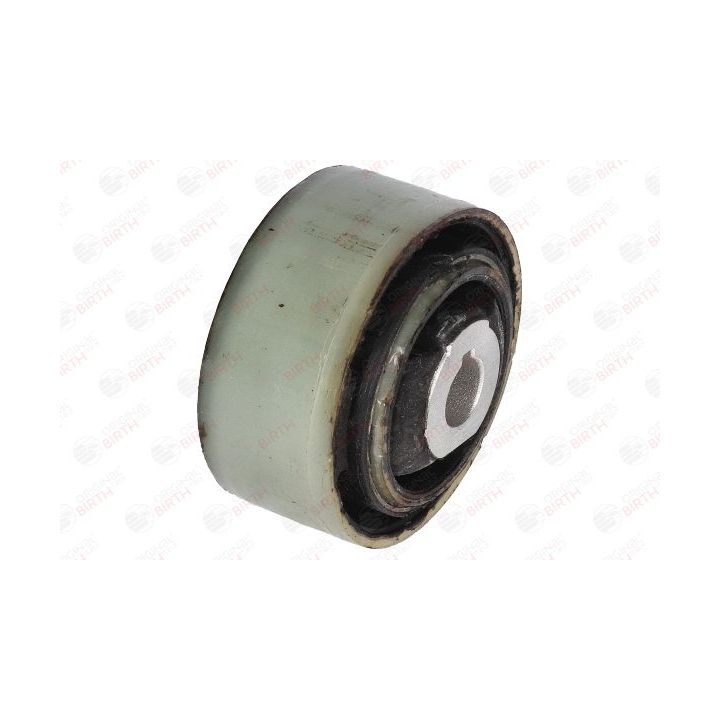 Variklio montavimas BIRTH 5947