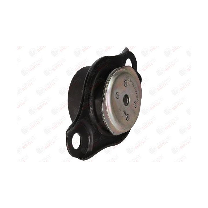 Montavimas, neautomatinė transmisija BIRTH 51480