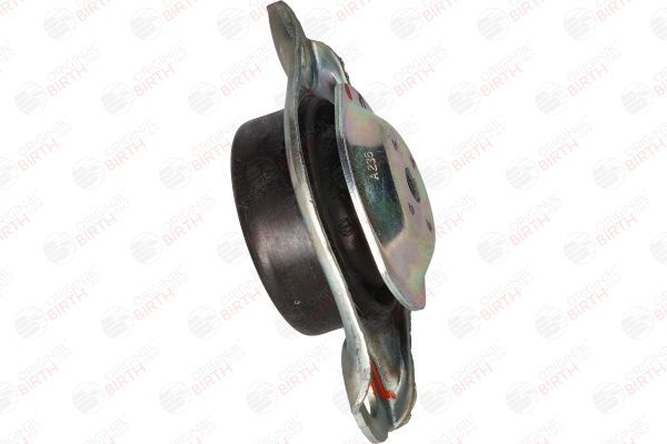 Montavimas, neautomatinė transmisija BIRTH 52181