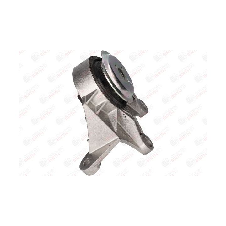 Montavimas, neautomatinė transmisija BIRTH 52259