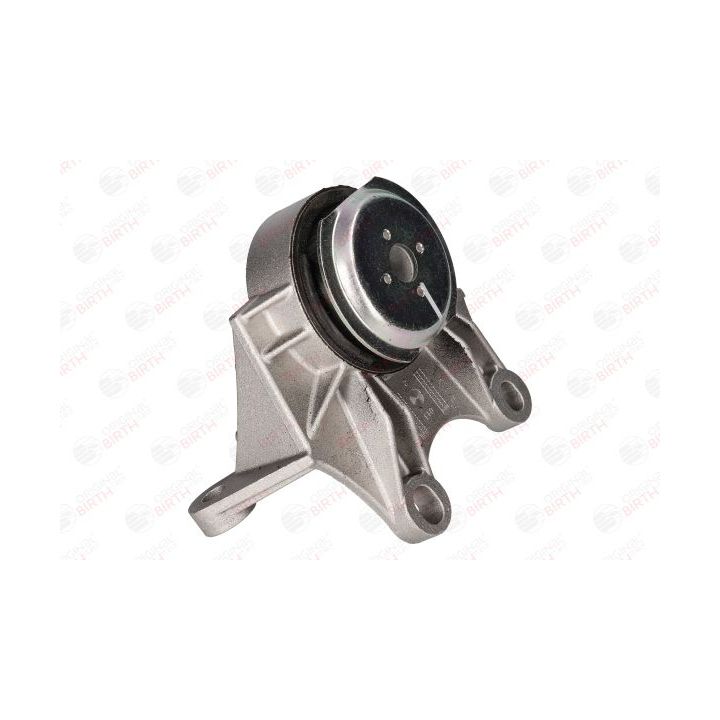 Montavimas, neautomatinė transmisija BIRTH 52259