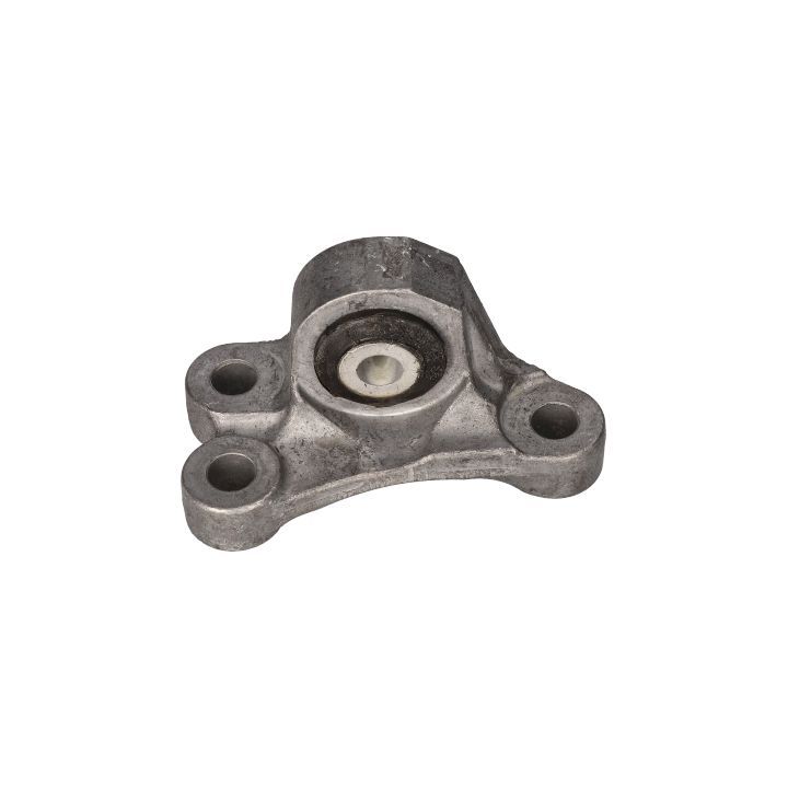 Montavimas, neautomatinė transmisija BIRTH 53060