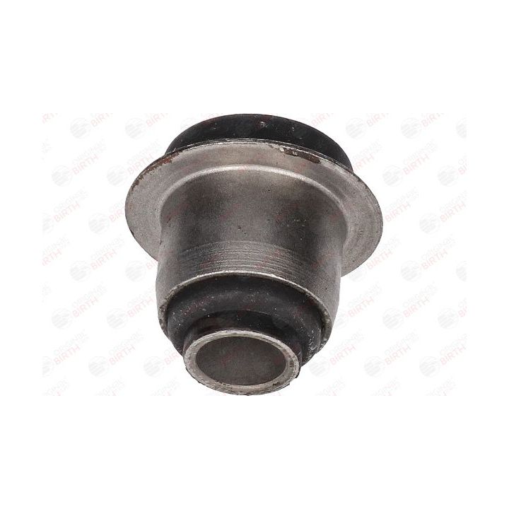 Valdymo svirties/išilginių svirčių įvorė BIRTH 2003