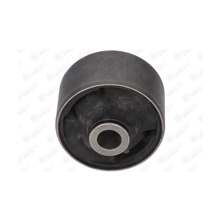 Valdymo svirties/išilginių svirčių įvorė BIRTH 20038