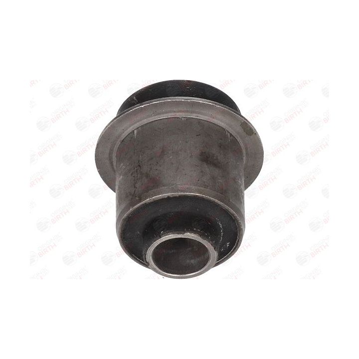 Valdymo svirties/išilginių svirčių įvorė BIRTH 2004