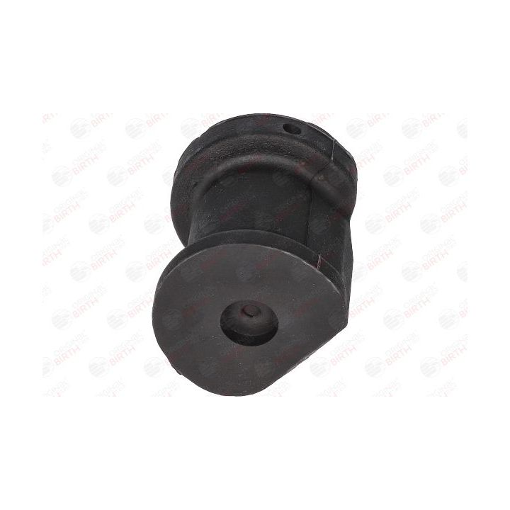 Valdymo svirties/išilginių svirčių įvorė BIRTH 2006