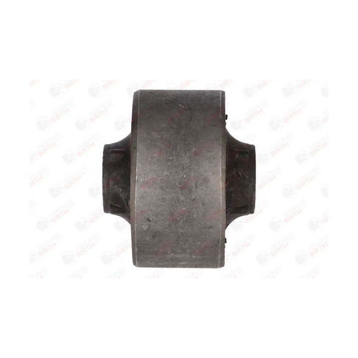 Valdymo svirties/išilginių svirčių įvorė BIRTH 20064